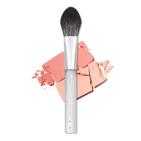 2AN Blur Fit Easy Brush (Cheek)